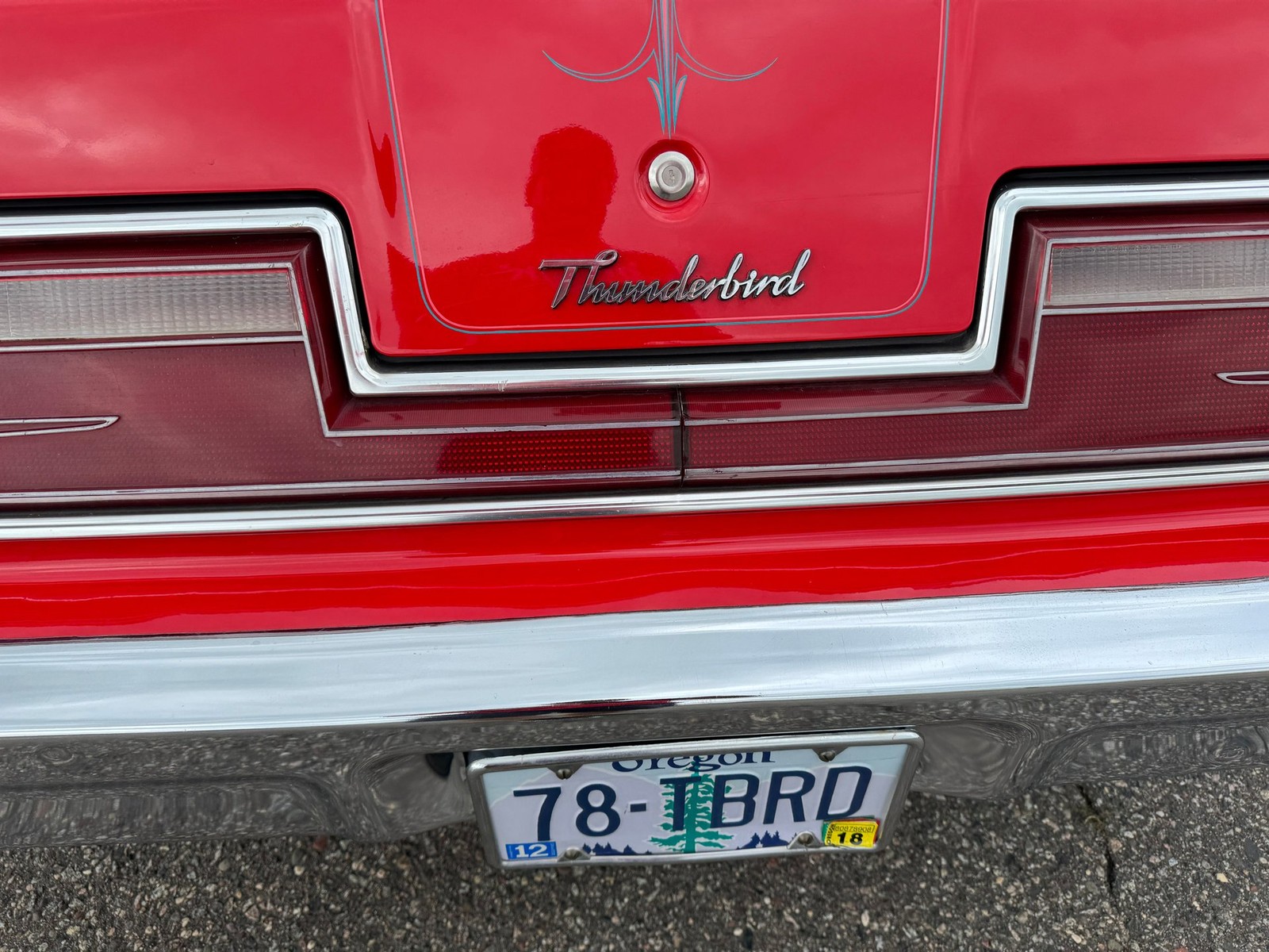 Ford-Thunderbird-Convertible-1978-Convertible-35