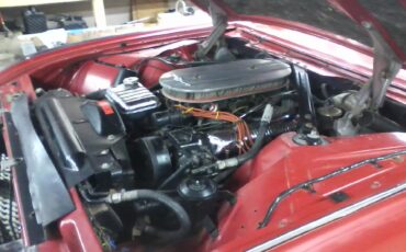 Ford-Thunderbird-m-type-1962-Red-White-62