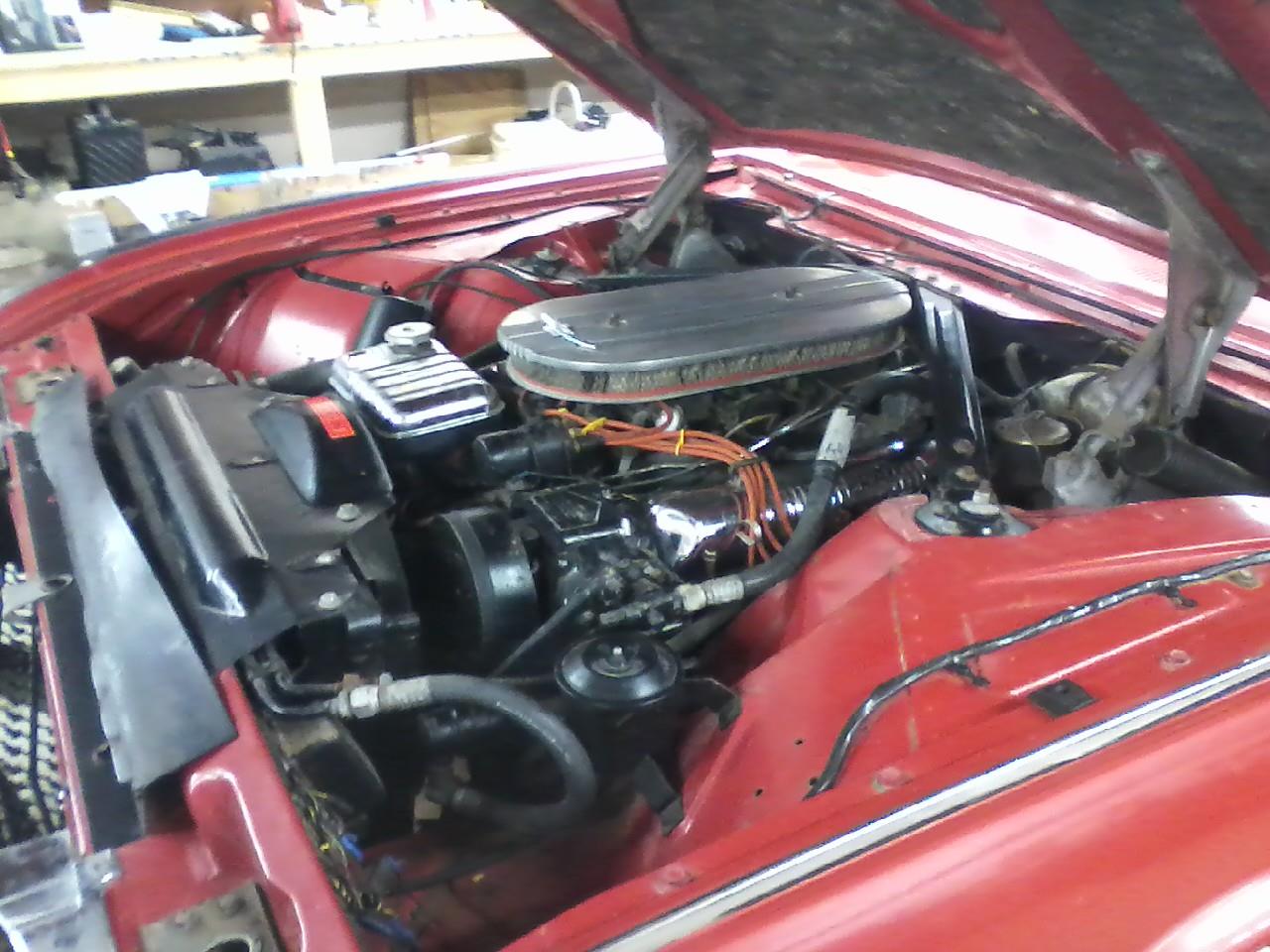 Ford-Thunderbird-m-type-1962-Red-White-62
