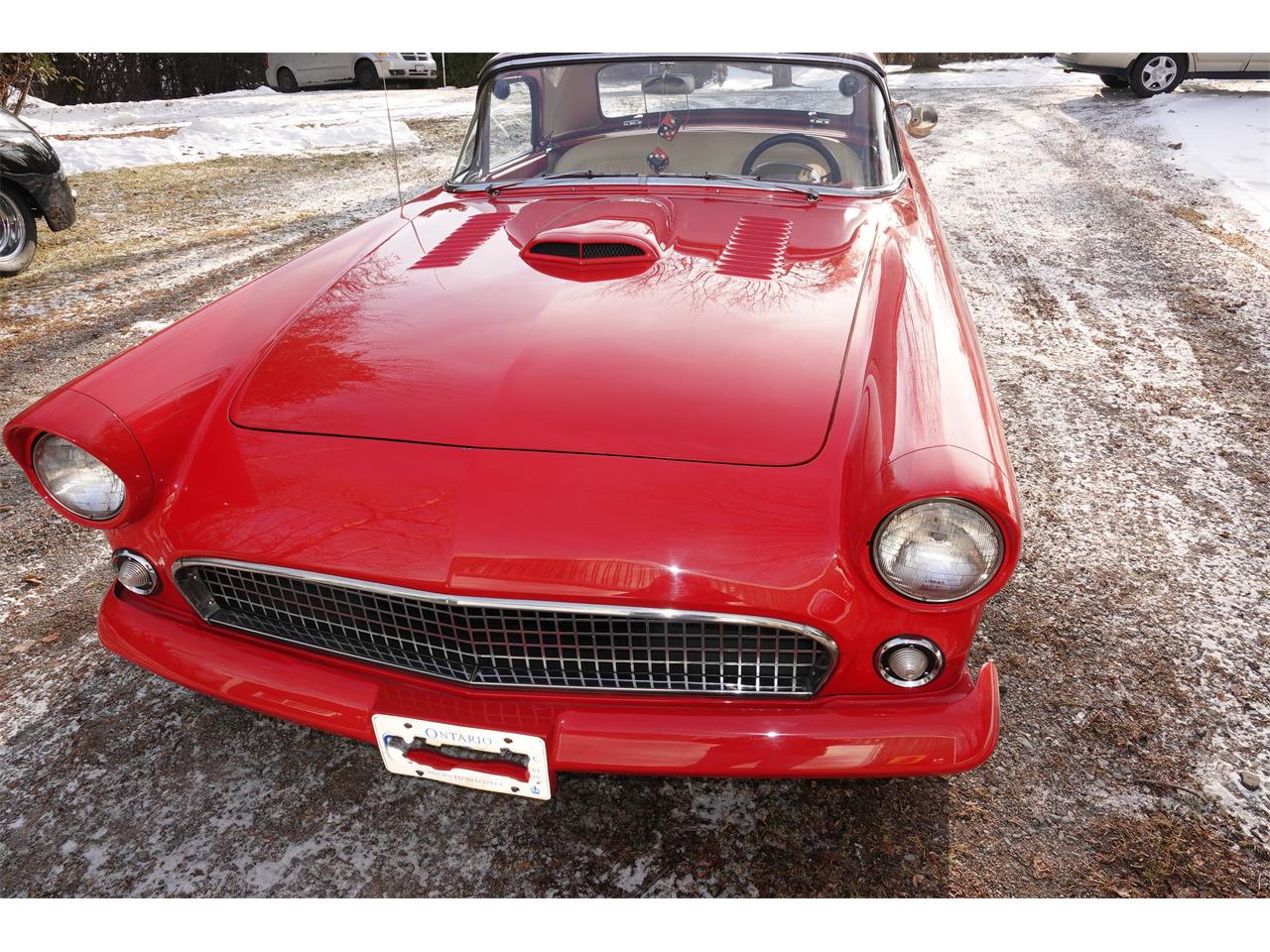Ford-Thunderbird-sports-roadster-1955-Red-RedWhite-5