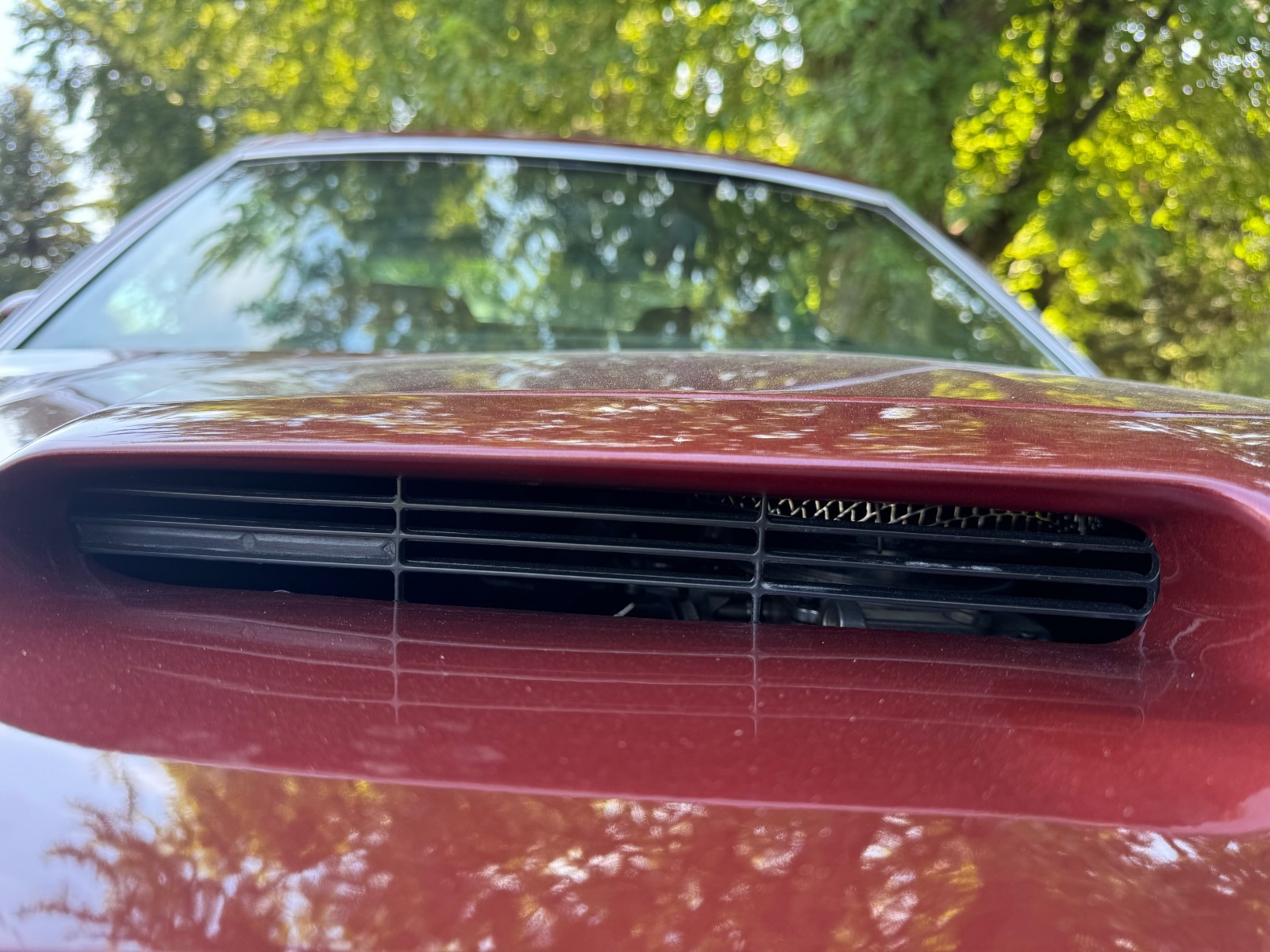 Ford-Torino-1972-Fastback-14