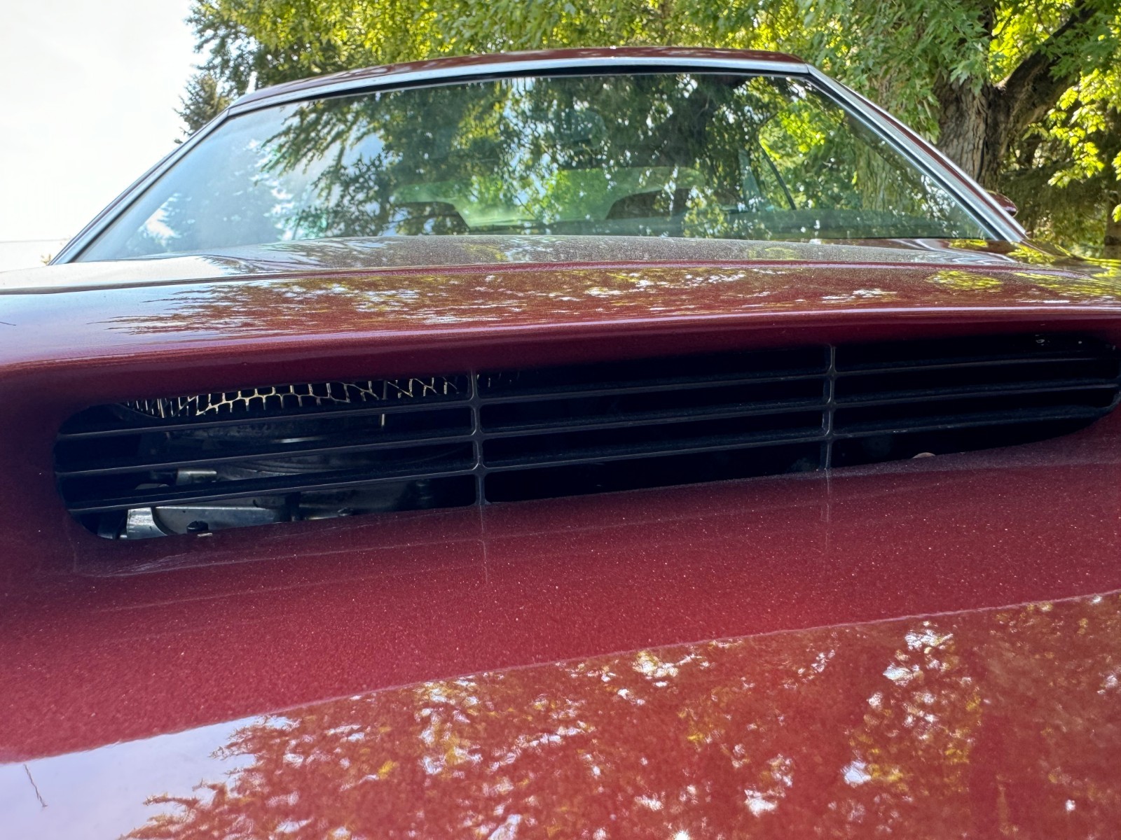 Ford-Torino-1972-Fastback-15