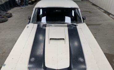 Ford-Torino-Talladega-1969-19