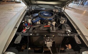 Ford-boss-351-mustang-1971-silver-10