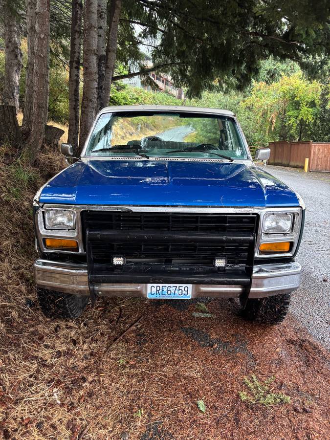 Ford-bronco-1981-1