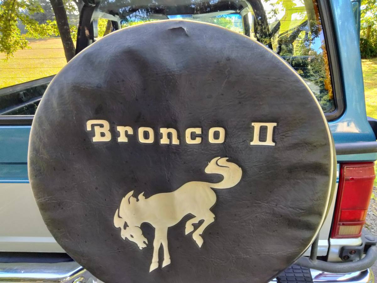 Ford-bronco-1988-blue-7