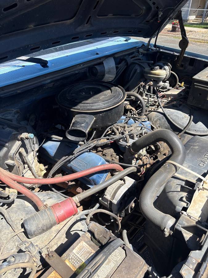 Ford-bronco-1989-blue-11
