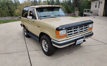 Ford-bronco-2-1990-custom-1