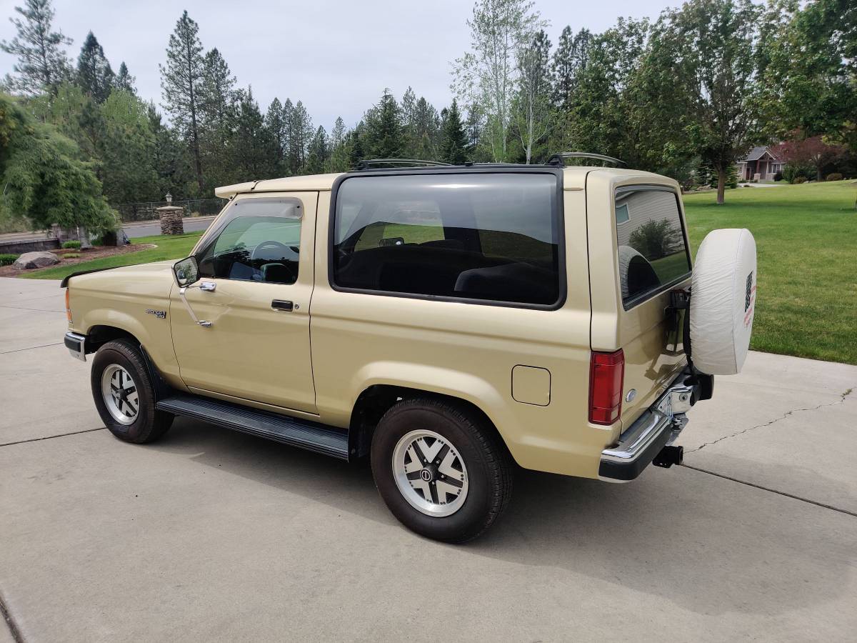Ford-bronco-2-1990-custom-2