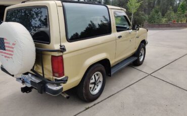 Ford-bronco-2-1990-custom-3