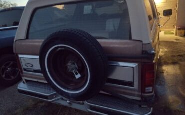 Ford-bronco-eddie-bauer-4x4-1986-brown-18