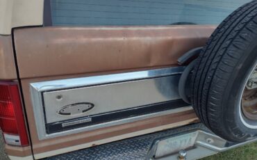 Ford-bronco-eddie-bauer-4x4-1986-brown-2