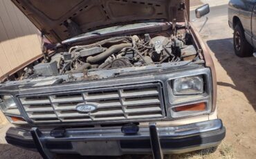 Ford-bronco-eddie-bauer-4x4-1986-brown-3