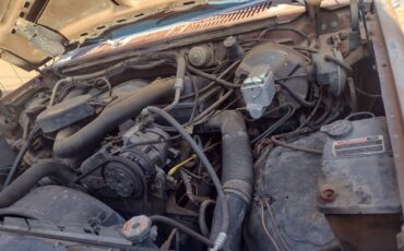 Ford-bronco-eddie-bauer-4x4-1986-brown-4