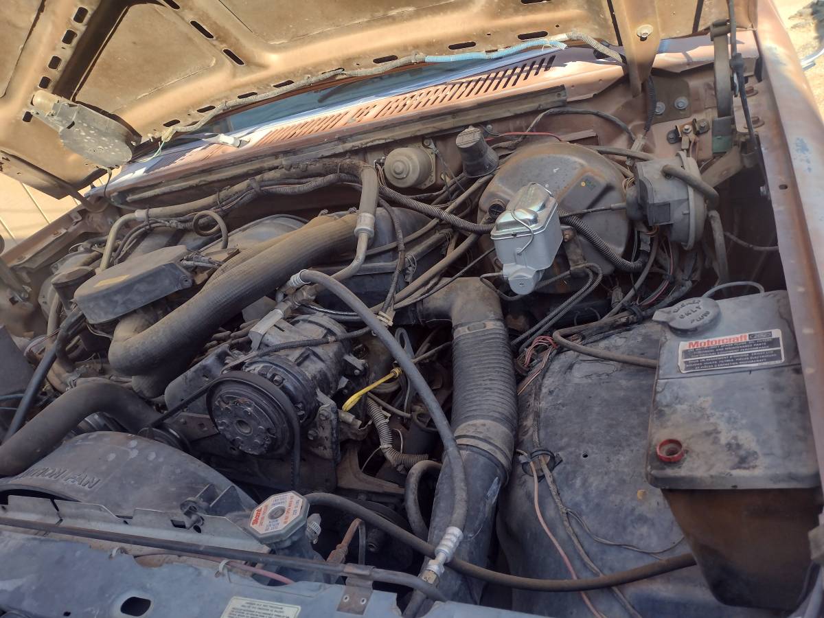 Ford-bronco-eddie-bauer-4x4-1986-brown-4