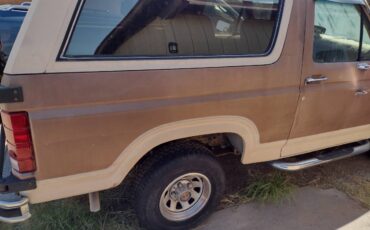Ford-bronco-eddie-bauer-4x4-1986-brown-5