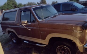 Ford-bronco-eddie-bauer-4x4-1986-brown-6