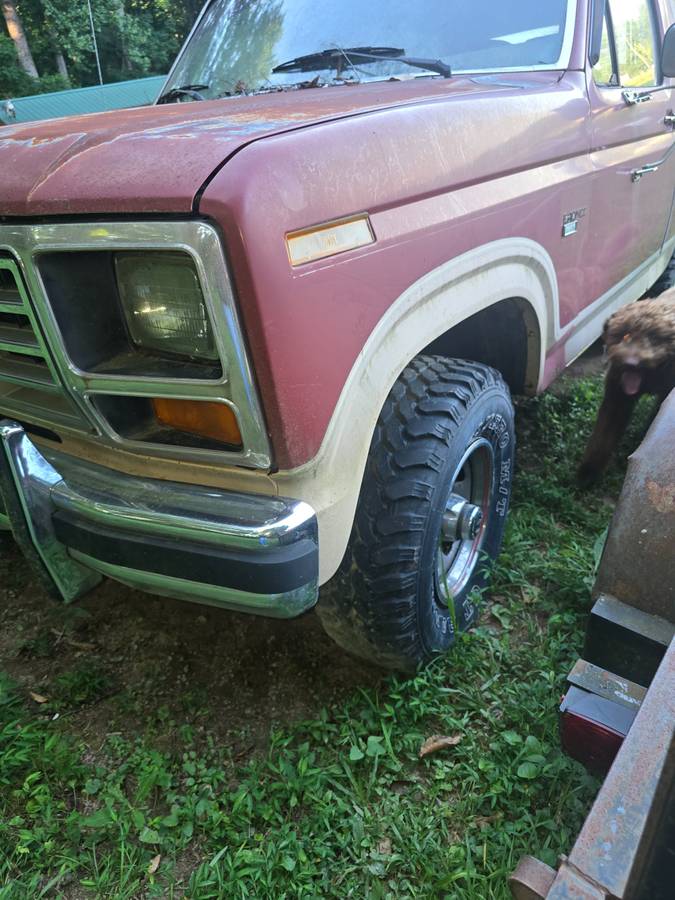 Ford-bronco-eddie-bauer-edition-1986-orange-20