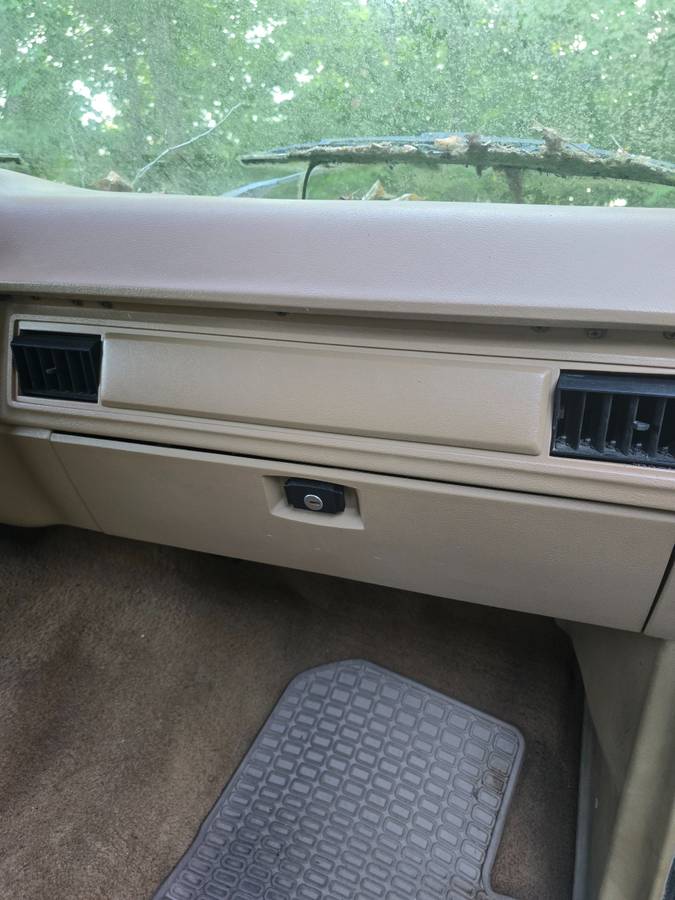 Ford-bronco-eddie-bauer-edition-1986-orange-4