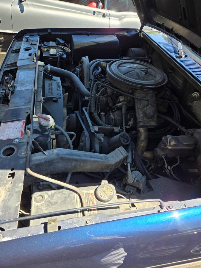 Ford-bronco-ii-1985-blue-1