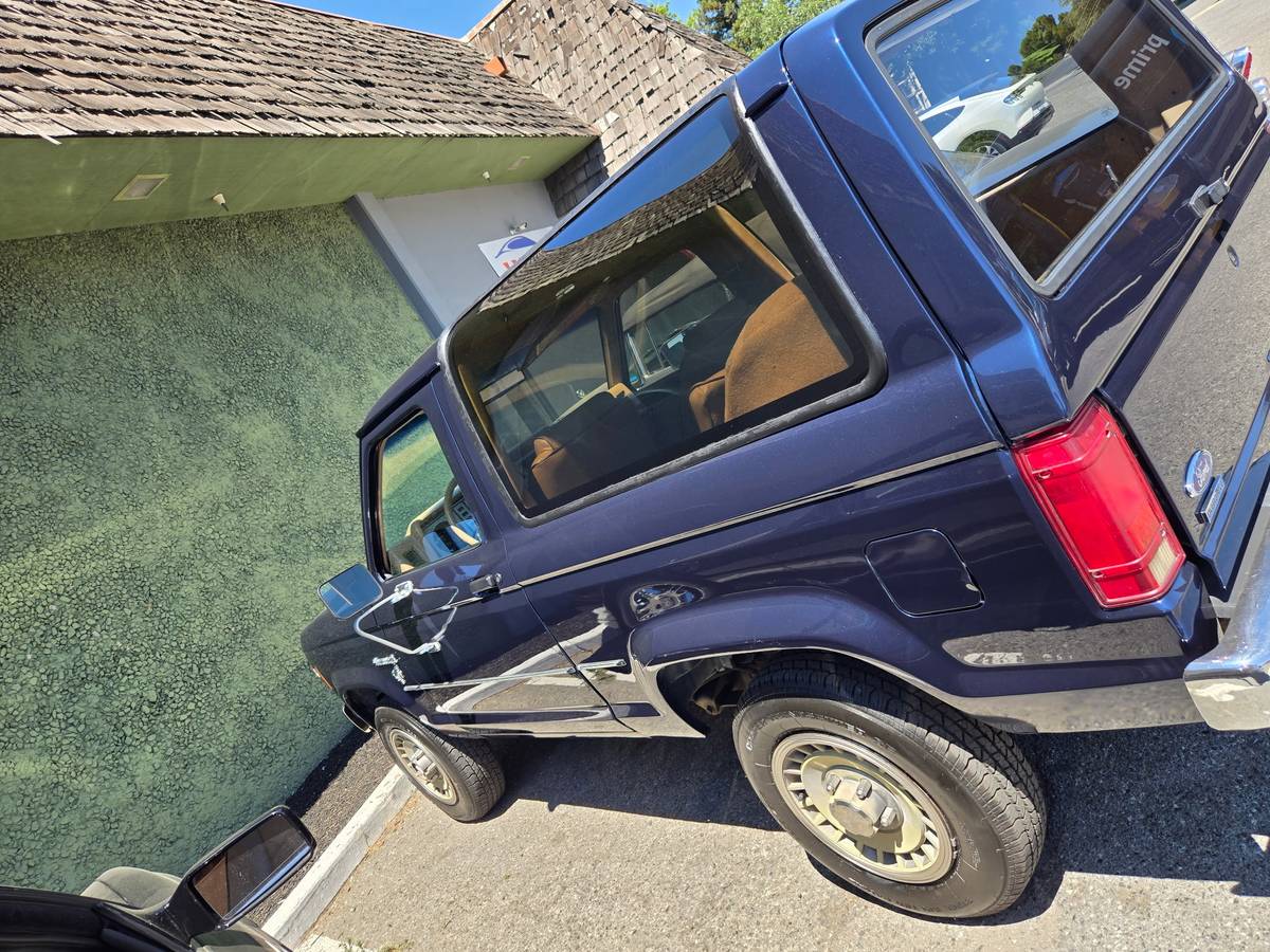 Ford-bronco-ii-1985-blue
