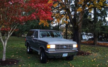 Ford-bronco-xlt-1989-grey-1