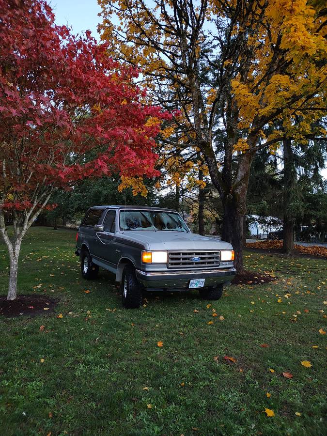 Ford-bronco-xlt-1989-grey-1