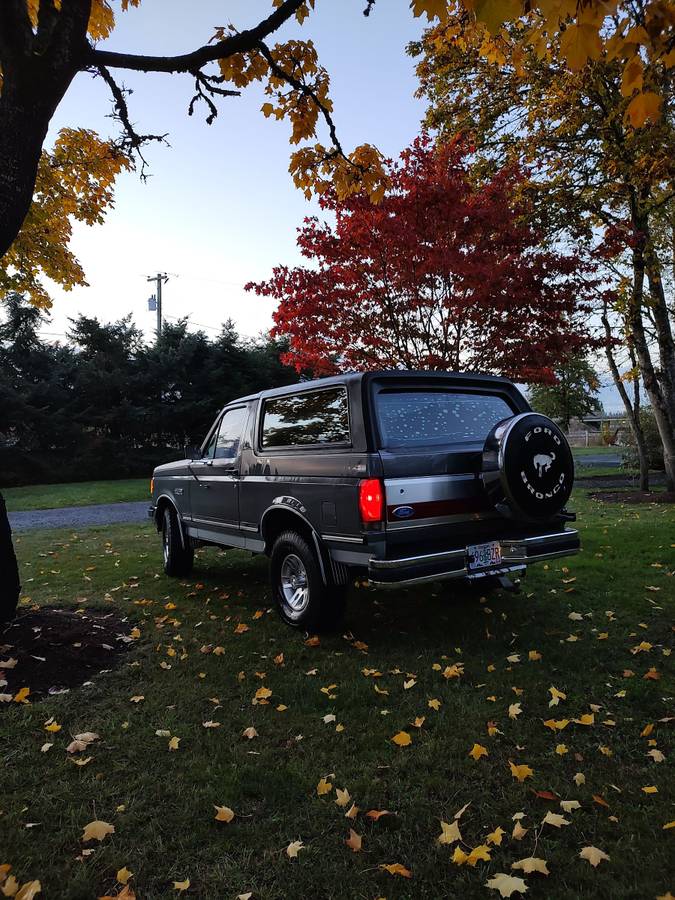Ford-bronco-xlt-1989-grey-2