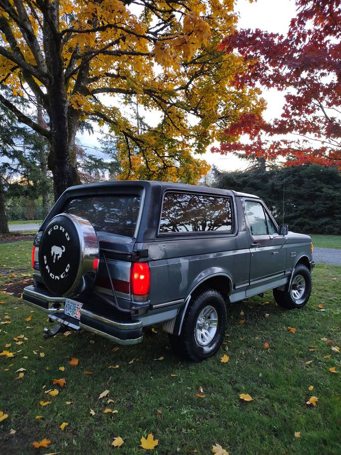 Ford-bronco-xlt-1989-grey-3