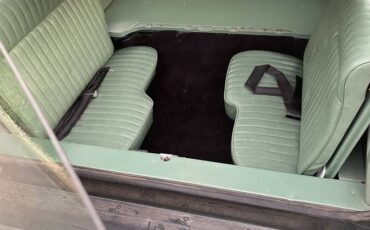 Ford-country-squire-1980-green-14
