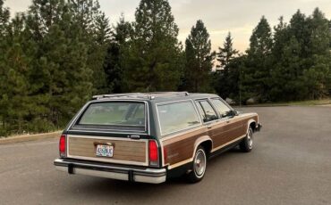 Ford-country-squire-1980-green-3