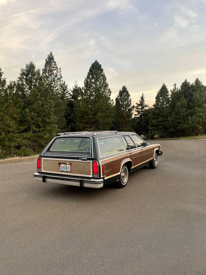 Ford-country-squire-1980-green-3