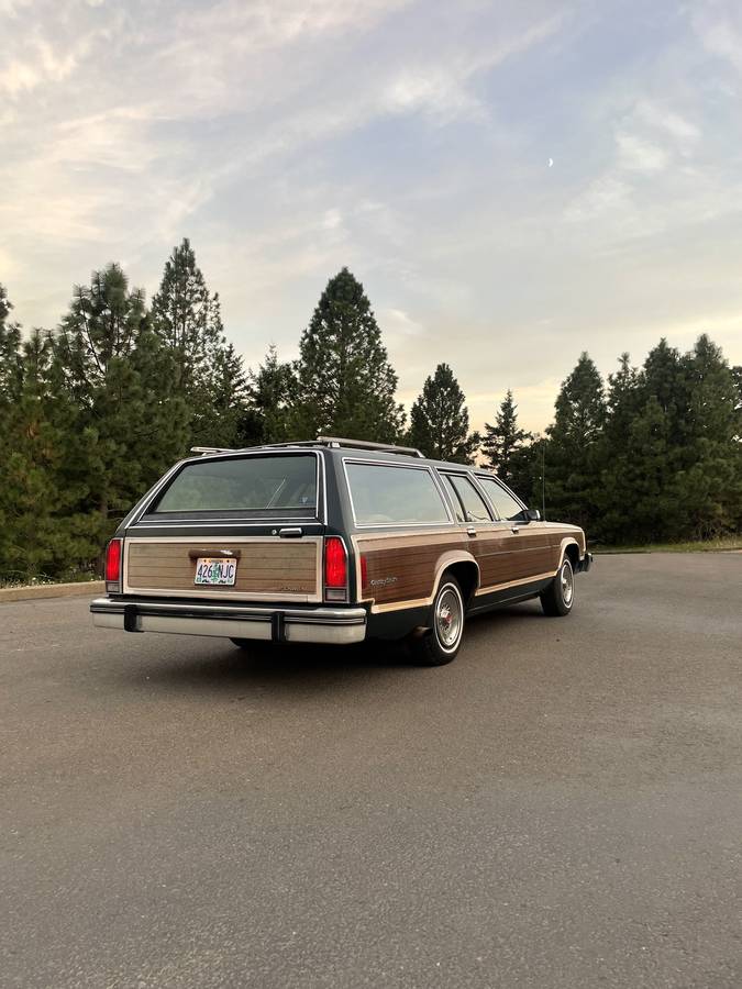 Ford-country-squire-1980-green-4