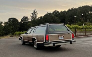 Ford-country-squire-1980-green-5