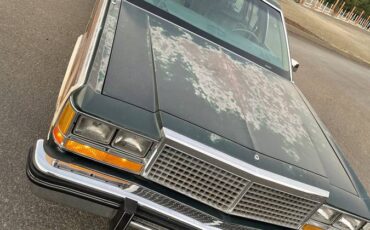 Ford-country-squire-1980-green-7