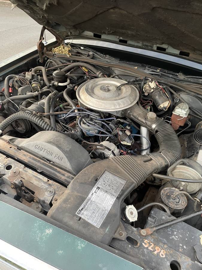 Ford-country-squire-1980-green-8