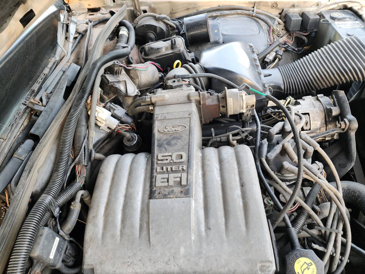 Ford-crown-victoria-ltd-1986-10
