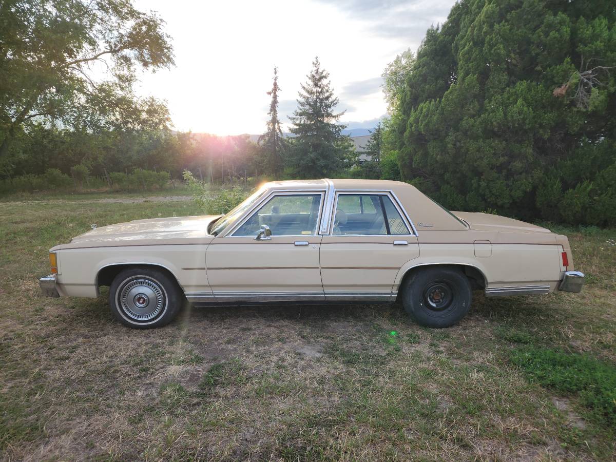 Ford-crown-victoria-ltd-1986-4