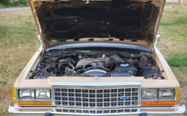 Ford-crown-victoria-ltd-1986-9