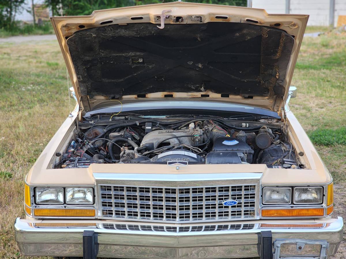 Ford-crown-victoria-ltd-1986-9