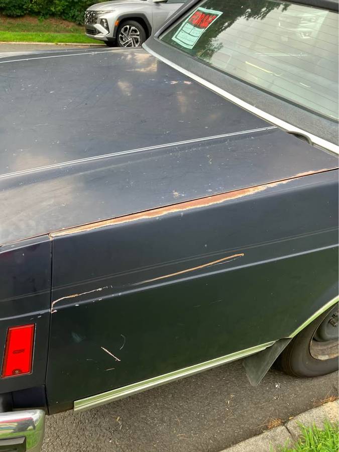 Ford-crown-victoria-ltd-1987-blue-13