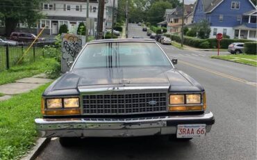 Ford-crown-victoria-ltd-1987-blue-36