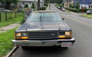 Ford-crown-victoria-ltd-1987-blue-38