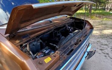 Ford-e-150-1976-5