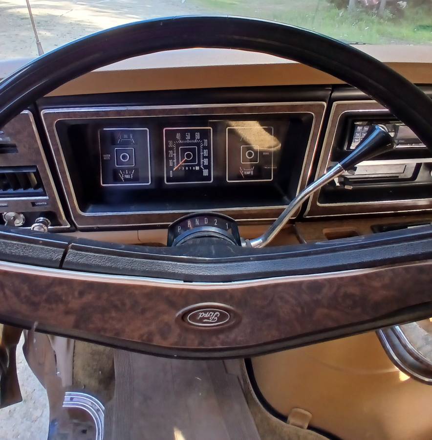 Ford-e-150-1976-9