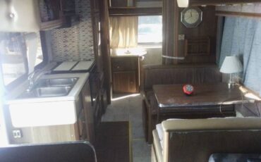 Ford-e350-econoline-van-1995-brown-9