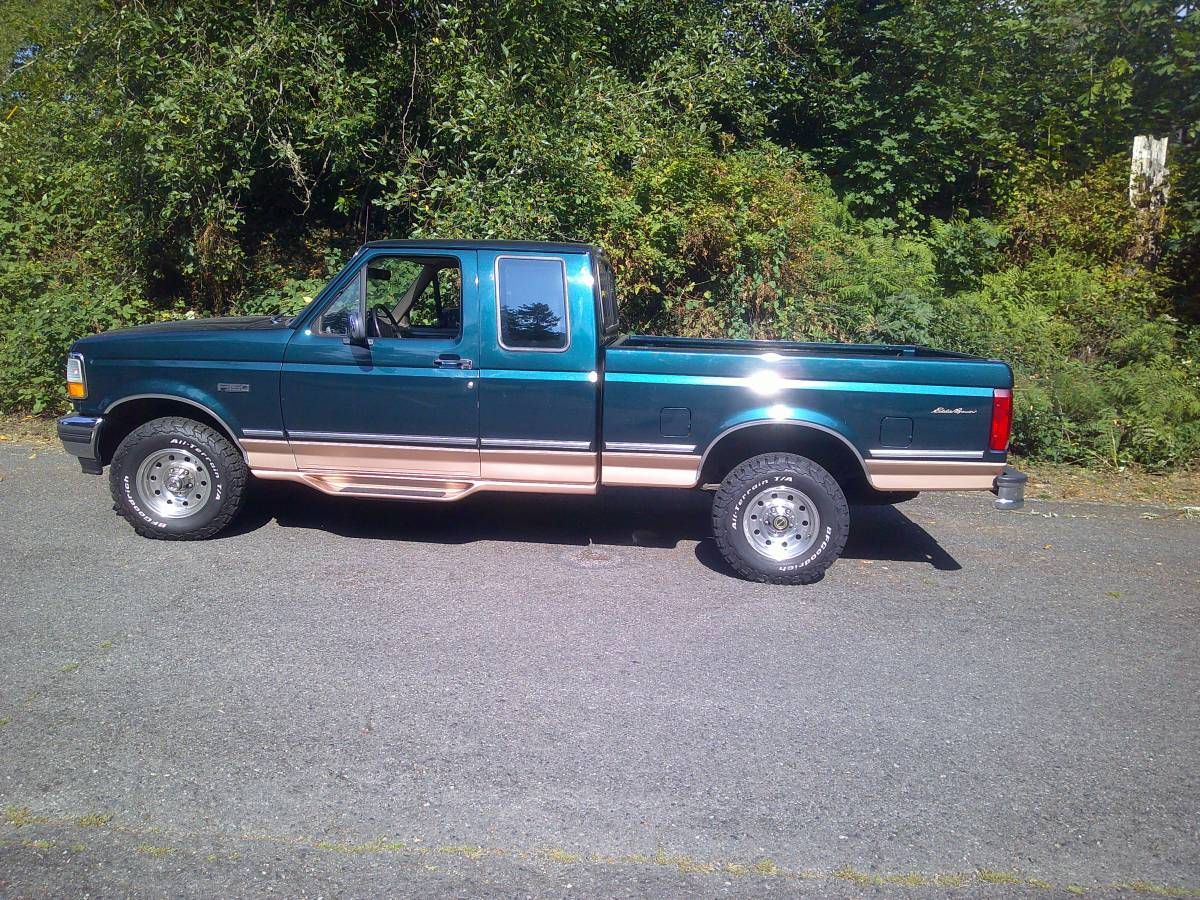Ford-eddie-bauer-f150-1995-green-11