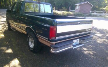 Ford-eddie-bauer-f150-1995-green-6