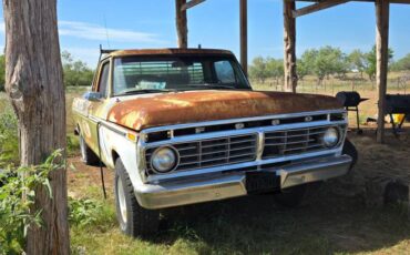 Ford-f-150-1975-green-1