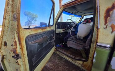 Ford-f-150-1975-green-10